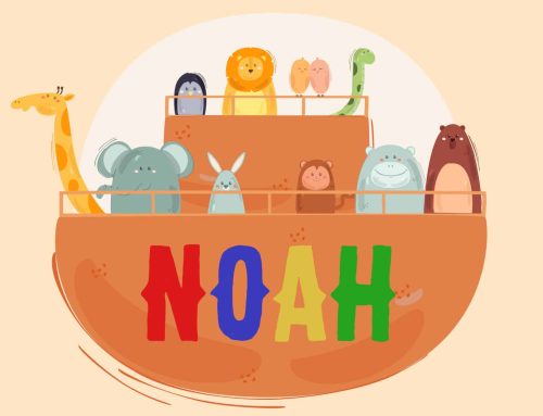 NOAH und die coole Arche